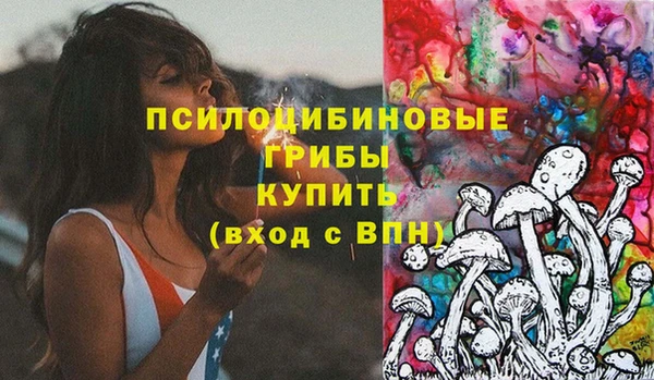 твердый Алексеевка