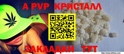 спайс Берёзовский