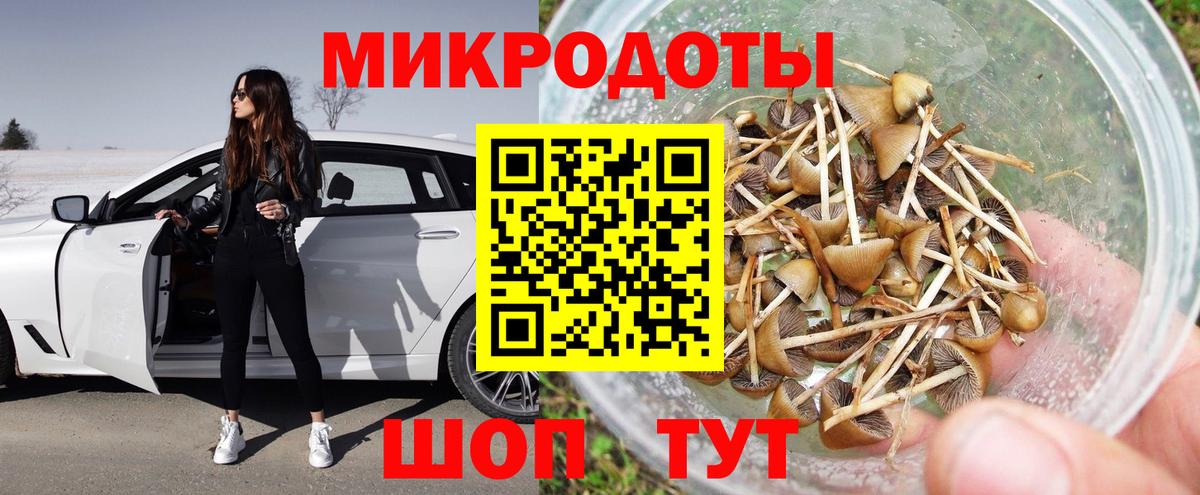Псилоцибиновые грибы Magic Shrooms  Вход с VPN  Большой Камень 